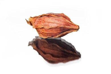 《无主星渊》游戏评测